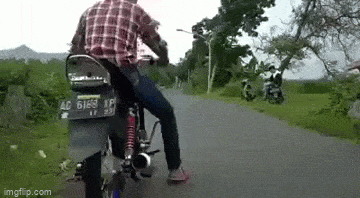 GIF č. 1340912
