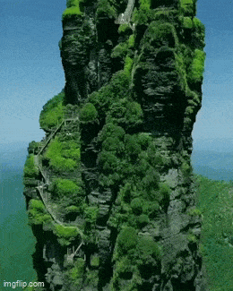 GIF č. 1340981