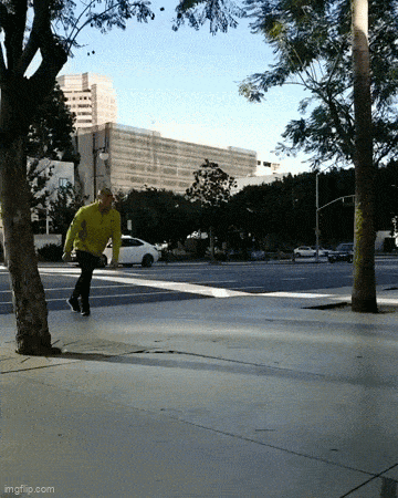 GIF č. 1340982