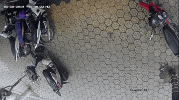 GIF č. 1340998