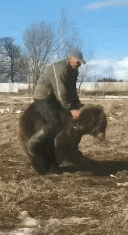 GIF č. 1341003