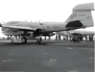 GIF č. 1341501