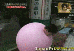 GIF č. 1342717