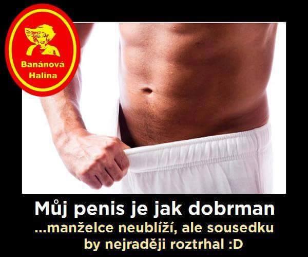 Obrázky penis
