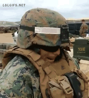 Želva voják