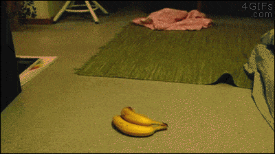 Respekt před banány