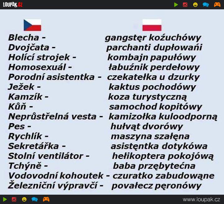  esko Polsk Slovn k Loupak cz