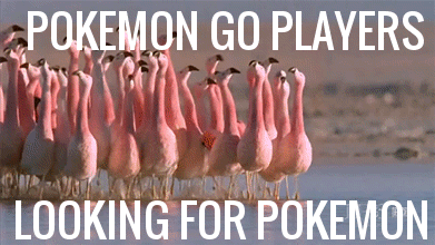 Hra Pokemon GO v praxi