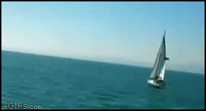 
Whale_lands_on_boat

