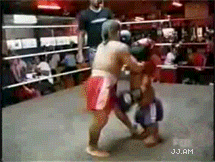 
midgetfight
