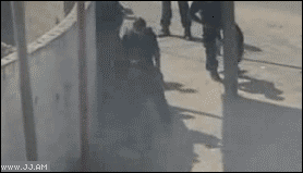 
Gaza_capped

