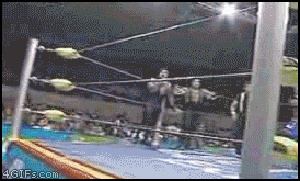 
Wrestler_walldive
