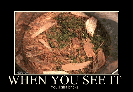 
Trapdoor_whenyouseeit
