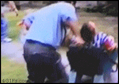 
Wheelbarrow_doublefaceplant
