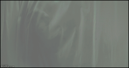 
Egg_impregnation_throat
