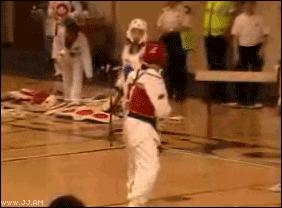 
Head_kicked_KO
