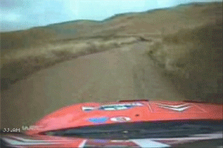 
RallyCarhitsCow
