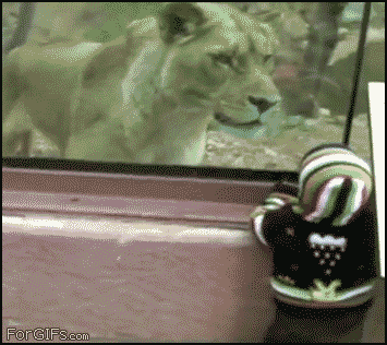 
Hungry_lioness
