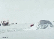 
Ski_jump_backbreak
