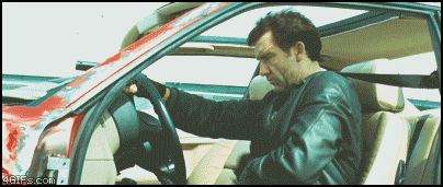 
Flies_into_van
