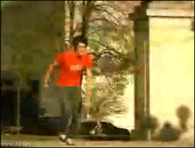 
Flips_onto_skateboard
