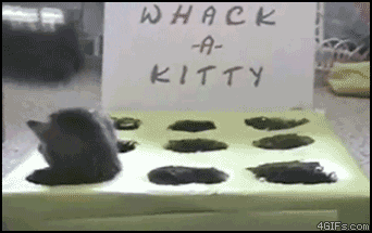 
Whack_a_kitty
