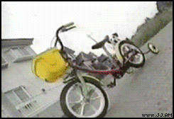 
Dog_rides_bike

