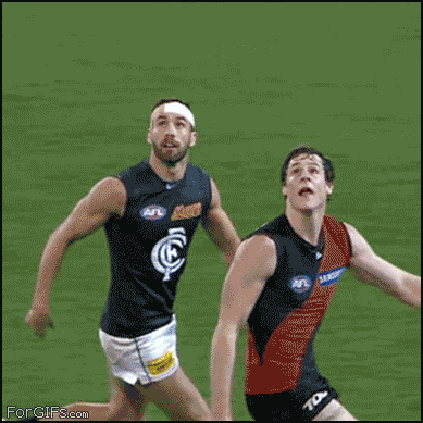 
Shoulders_catch
