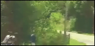 
Rallycar_launches_photographer
