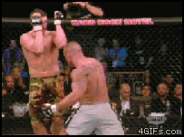 
Ribshot_counter
