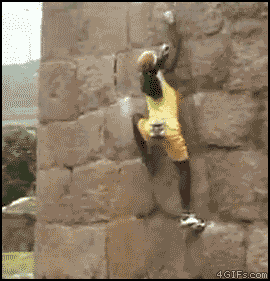 
Wall_climber
