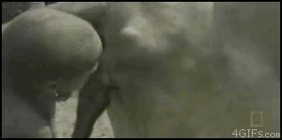 
Lactation_stimulation
