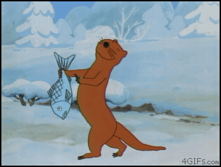 
Groovy_Otter
