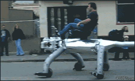 
Gators_Gait_Roboalligator

