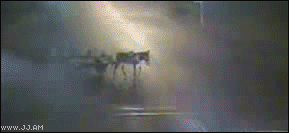 
Mule_carriage_truck
