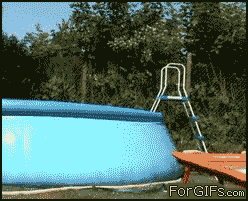 
Trampoline_pool
