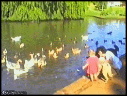 
Kid_falls_pond
