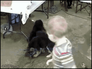 
Puppy_swarm
