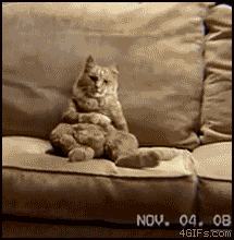 
Couch_cat_dances
