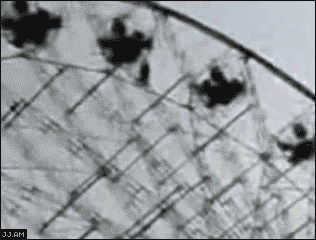 
Kid_falls_Ferris_wheel
