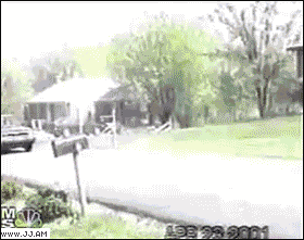 
Jackass_copycat_carhit
