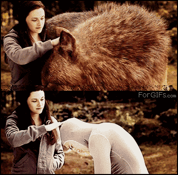 
CGI_head_pet_Twilight
