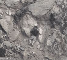 
Soldier_shot_Afghanistan
