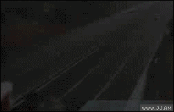 
Tractor_Trailer_Flies
