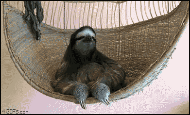 
Sloth_shades

