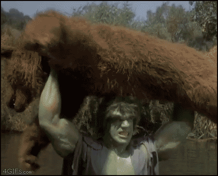 
Hulk_throws_bear

