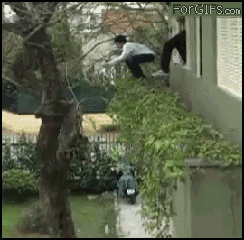 
Tree_climber
