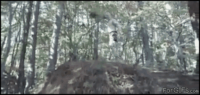 
Inverted_Rappelling
