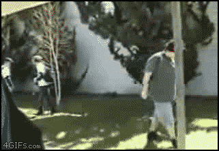 
Kid_punches_bully
