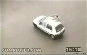 
Super_Police_DogK9
